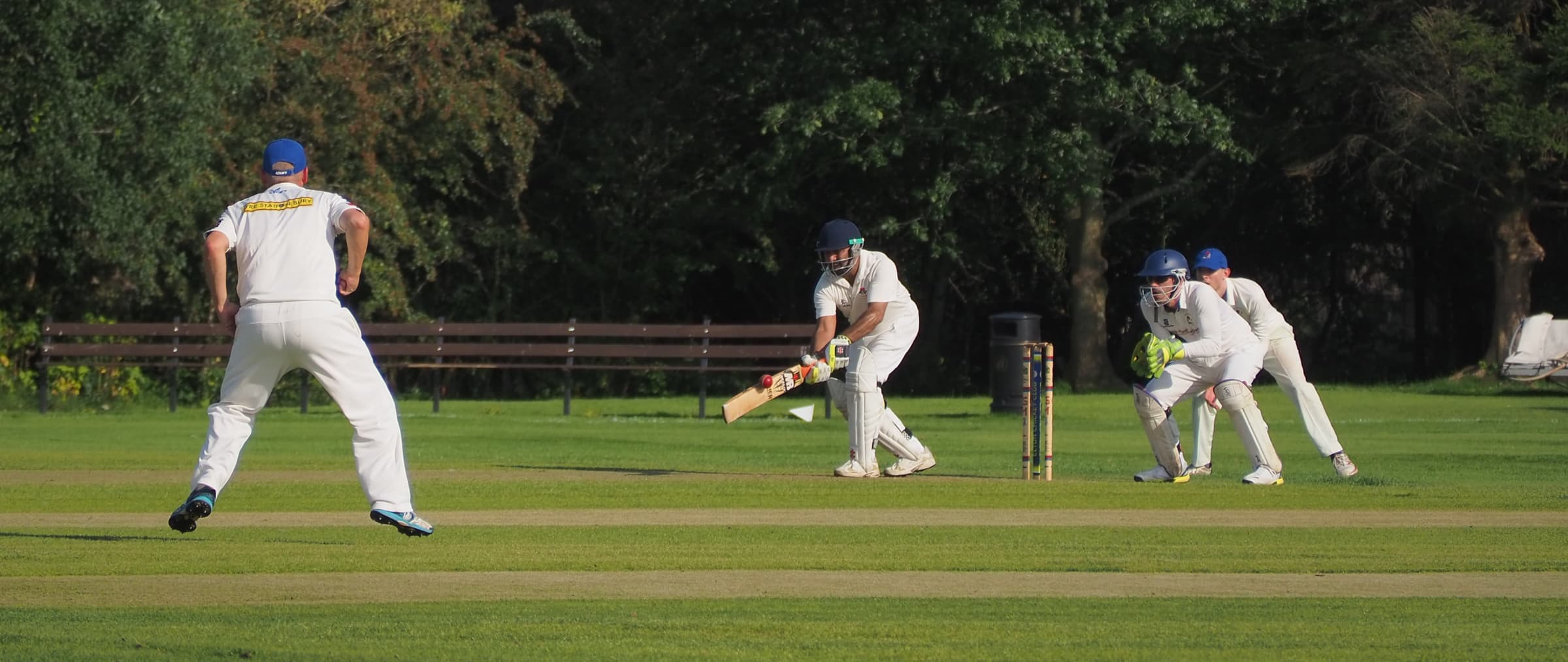 Sport hero cricket