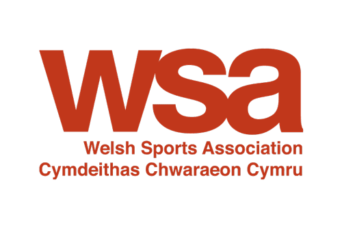 Wsa logo 500